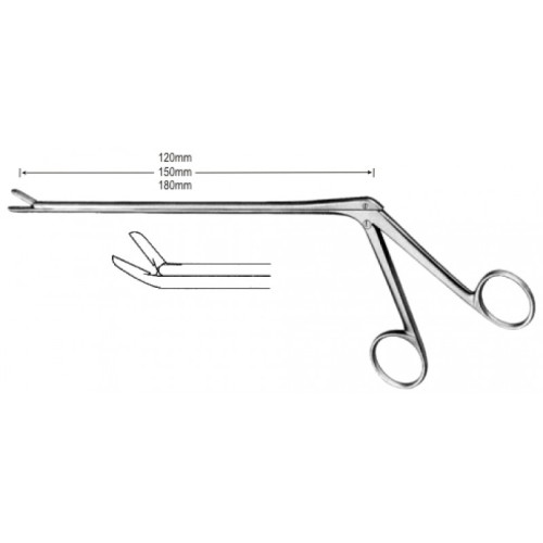 Neuro Surgery